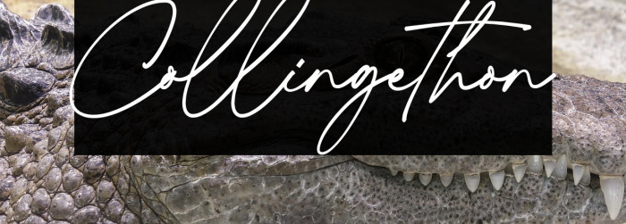 Collingethon Example 3