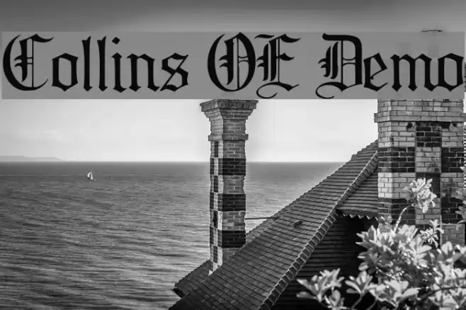 Collins OE Demo フォント examples