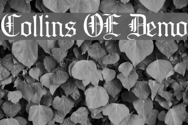 Collins OE Demo フォント examples
