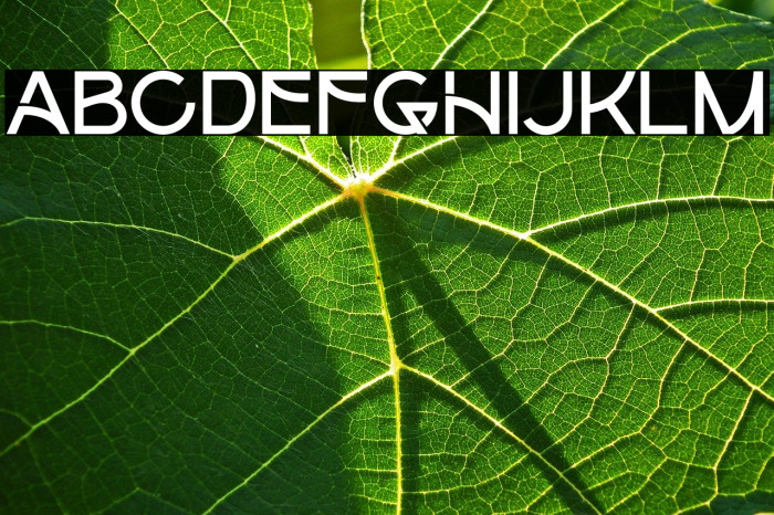 Colmeak Caratteri examples