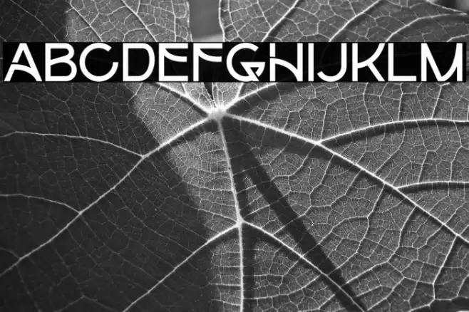 Colmeak फ़ॉन्ट examples