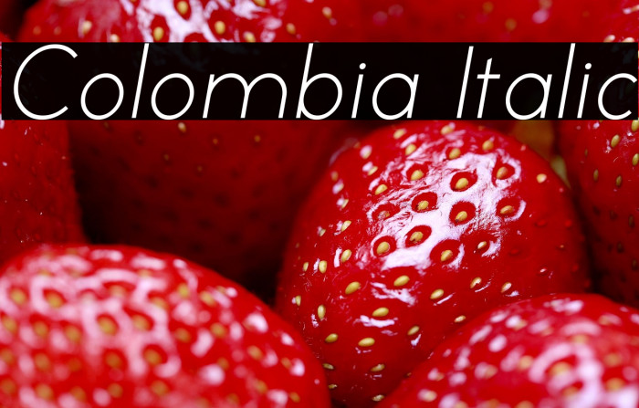 Colombia Italic Example 2