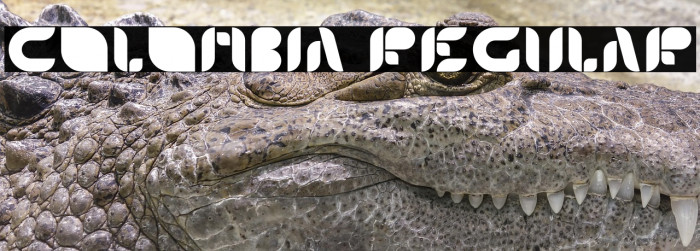 Colombia-Regular Example 2