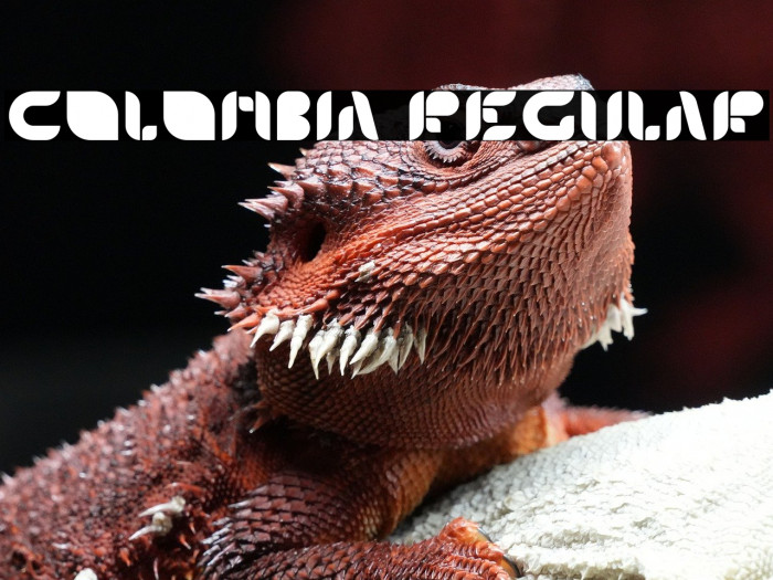 Colombia Regular Example 3