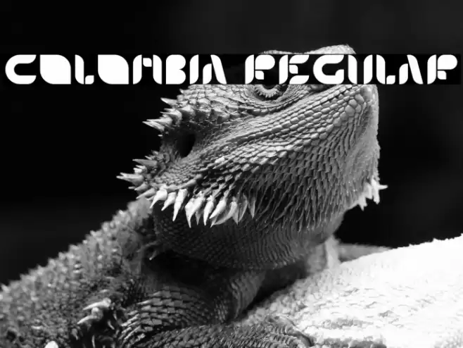 Colombia Regular Font examples