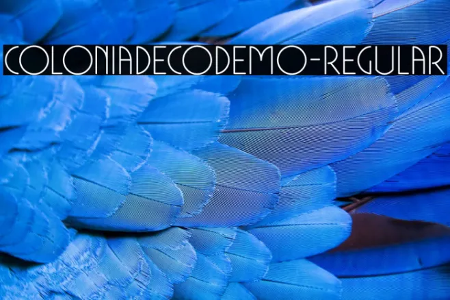 ColoniaDecoDEMO-Regular Example 1