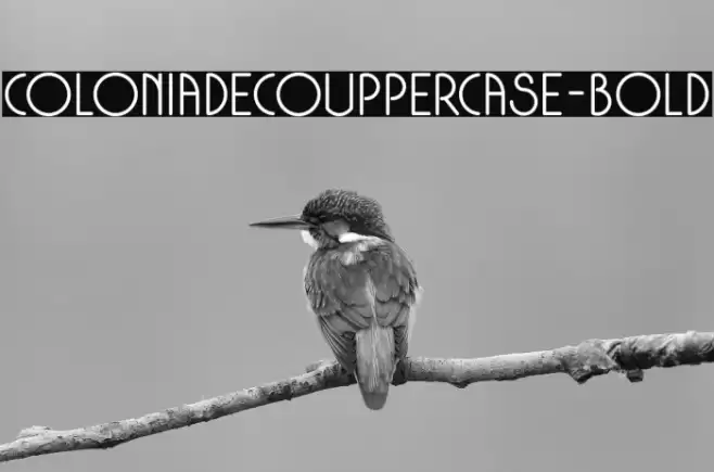 ColoniaDecoUppercase-Bold Font examples