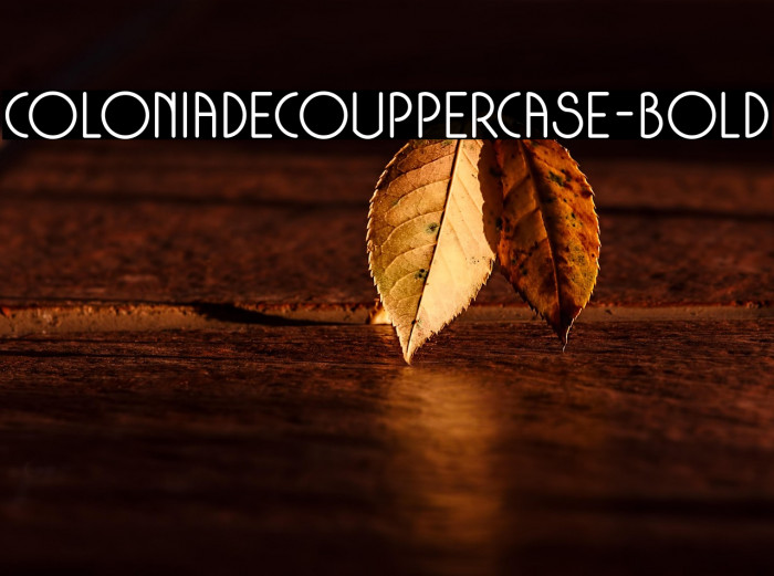 ColoniaDecoUppercase-Bold Example 2