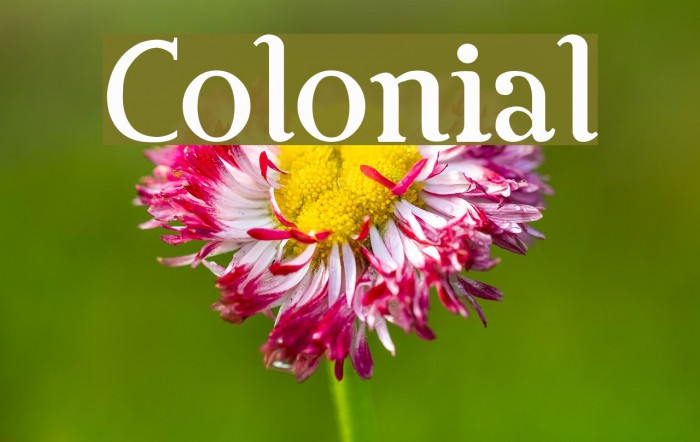 Colonial Font examples