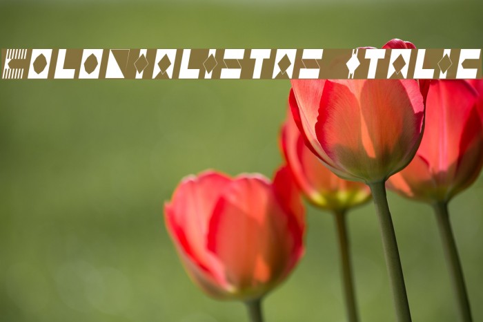 Colonialistas Italic Font examples