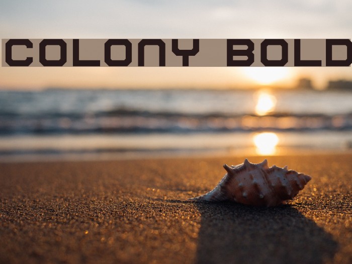 Colony Bold Font examples