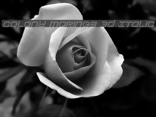 Colony Marines 3D Italic Font examples