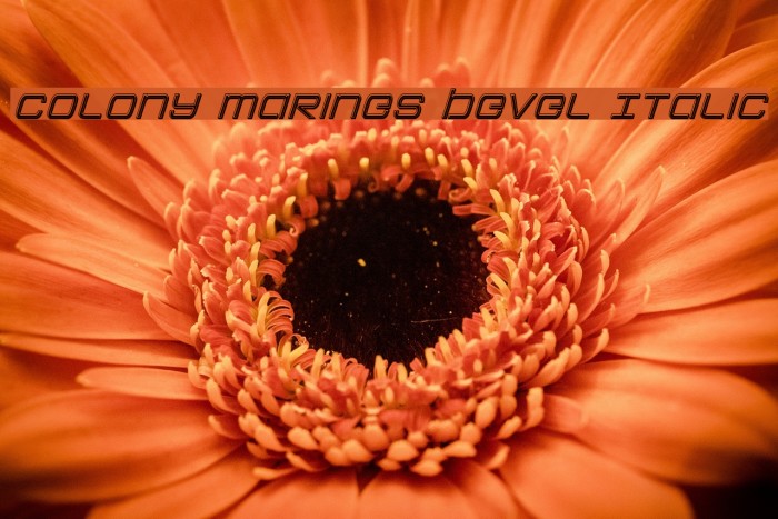 Colony Marines Bevel Italic Font examples