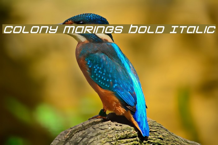 Colony Marines Bold Italic Schriftart examples