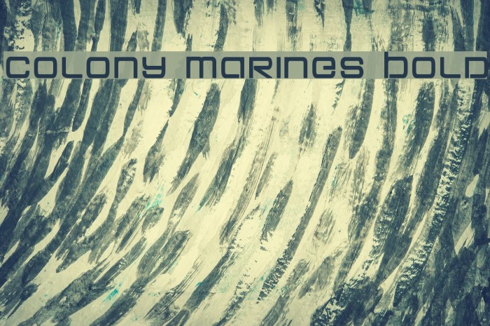 Colony Marines Bold Font examples