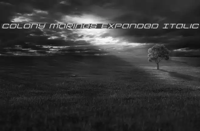 Colony Marines Expanded Italic Font examples