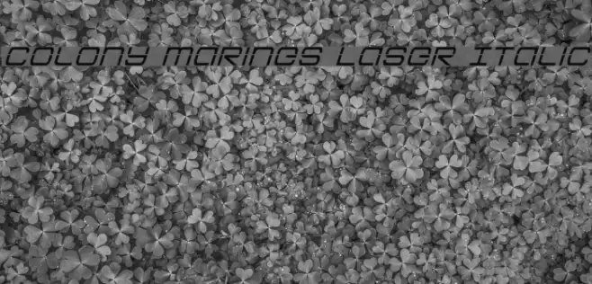 Colony Marines Laser Italic Font examples