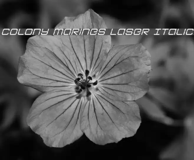 Colony Marines Laser Italic Font examples