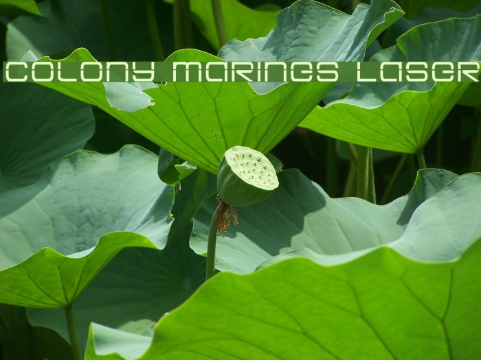 Colony Marines Laser Font examples