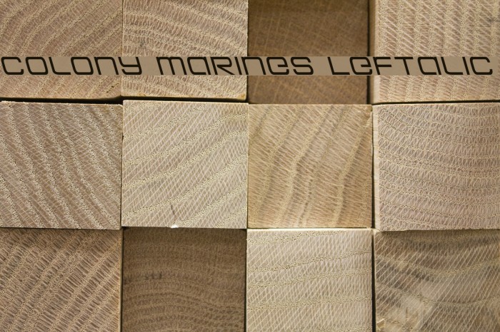 Colony Marines Leftalic Font examples