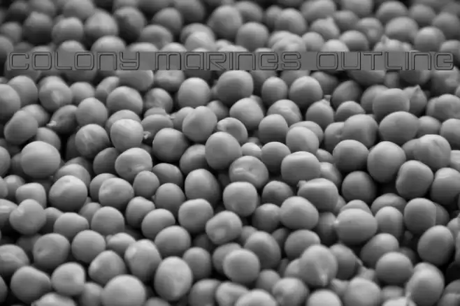 Colony Marines Outline Font examples