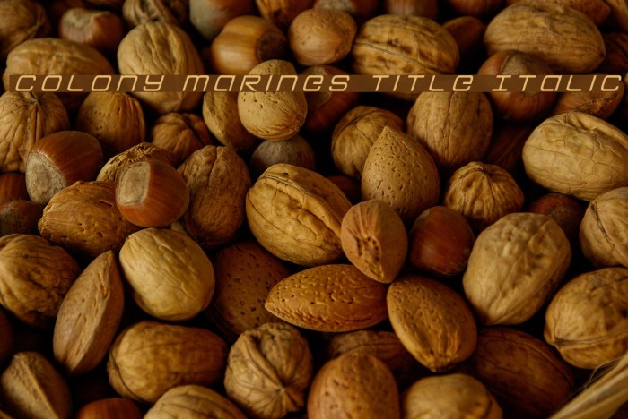 Colony Marines Title Italic फ़ॉन्ट examples