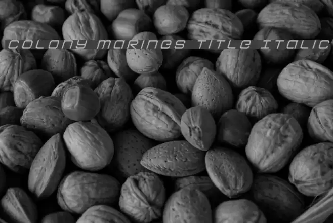 Colony Marines Title Italic Font examples