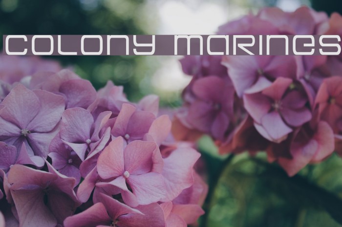 Colony Marines Font examples