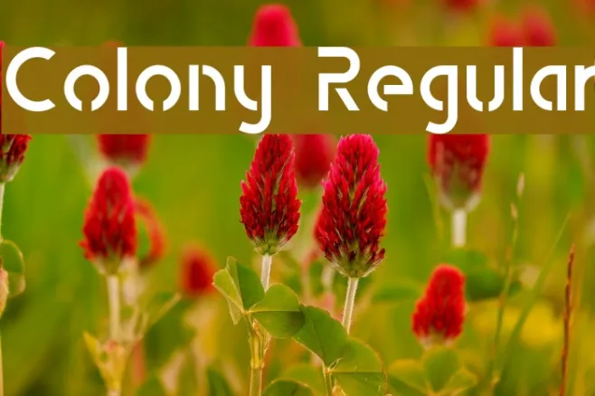 Colony Regular Example 1