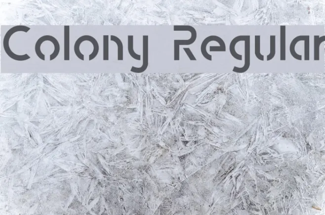 Colony Regular Example 2