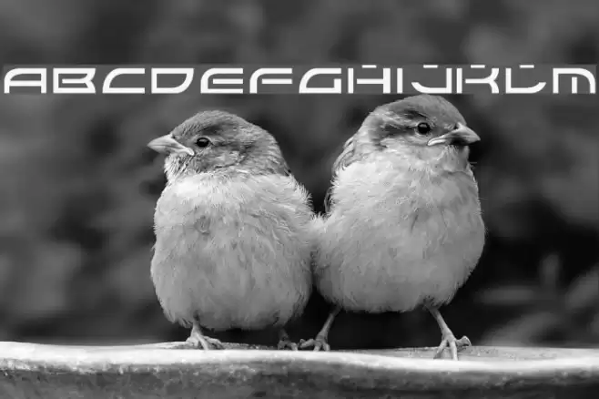 Colony Wars Normal Font examples