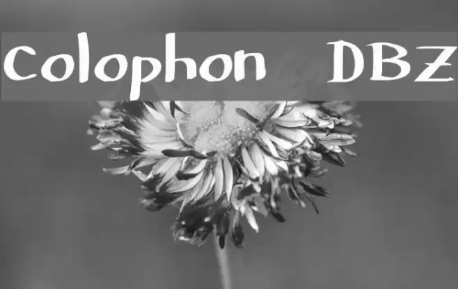 Colophon DBZ Font examples