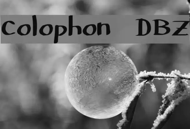 Colophon DBZ Font examples