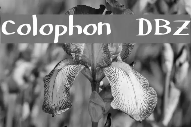 Colophon DBZ Font examples