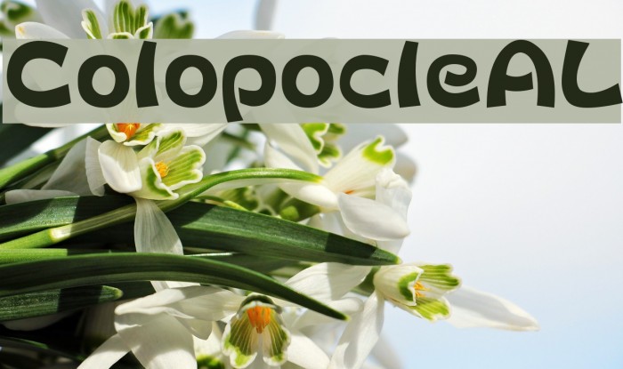 ColopocleAL Example 2