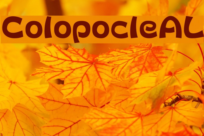 ColopocleAL Example 3