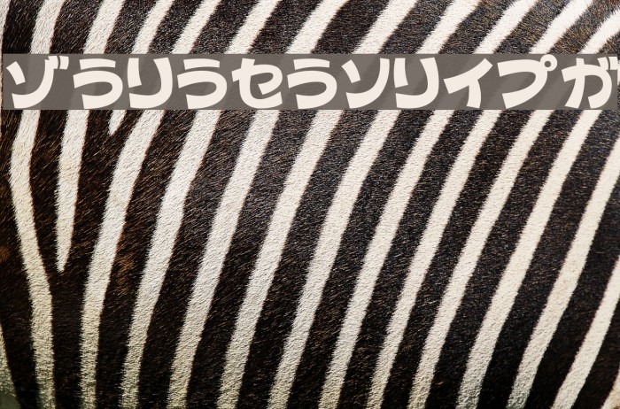 ColopocleKT Example 2