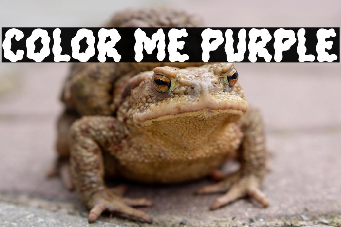 Color Me Purple Example 1