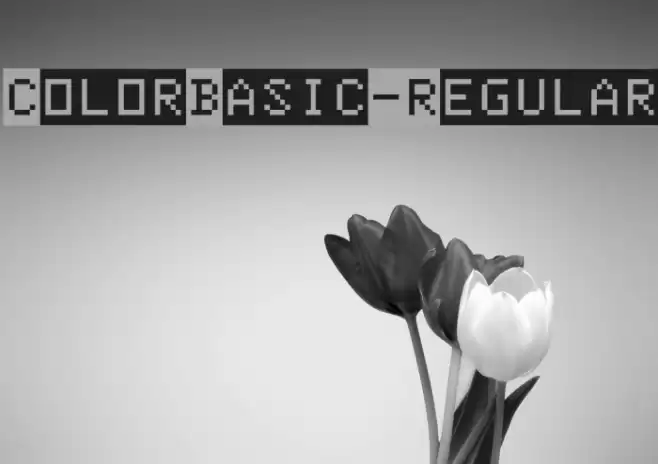 ColorBasic-Regular Font examples