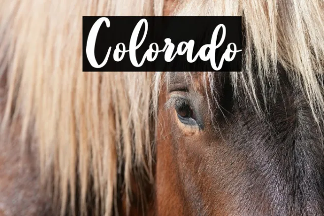 Colorado Example 1
