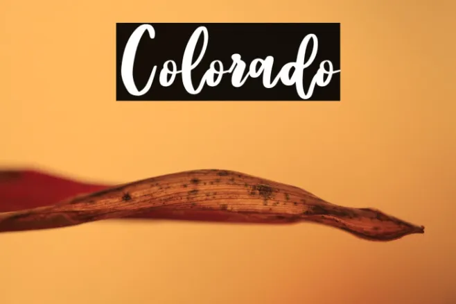 Colorado Example 2