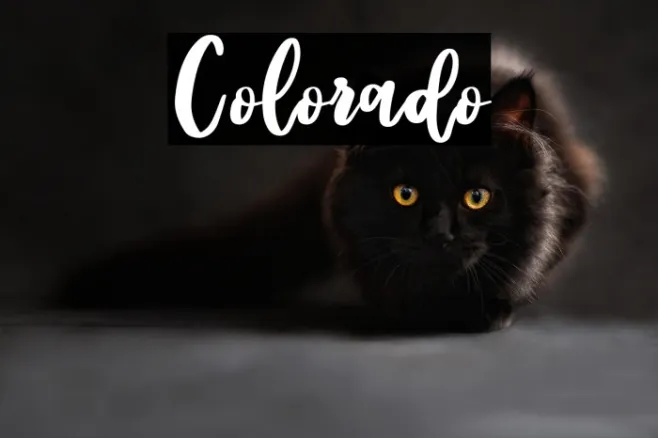 Colorado Example 3