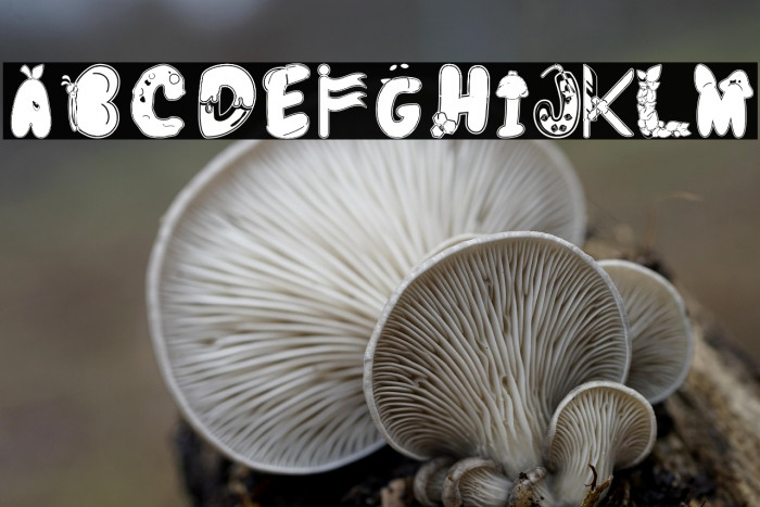 Colorful Decorative Alphabet Example 1