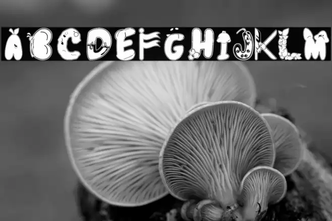 Colorful Decorative Alphabet Шрифта examples