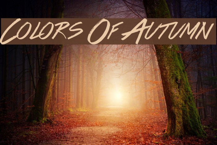 Colors Of Autumn Font examples