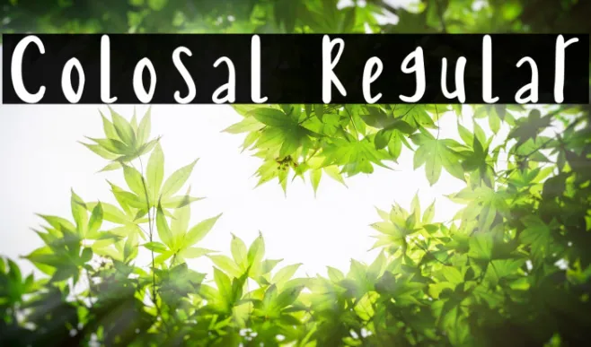 Colosal Regular Example 3