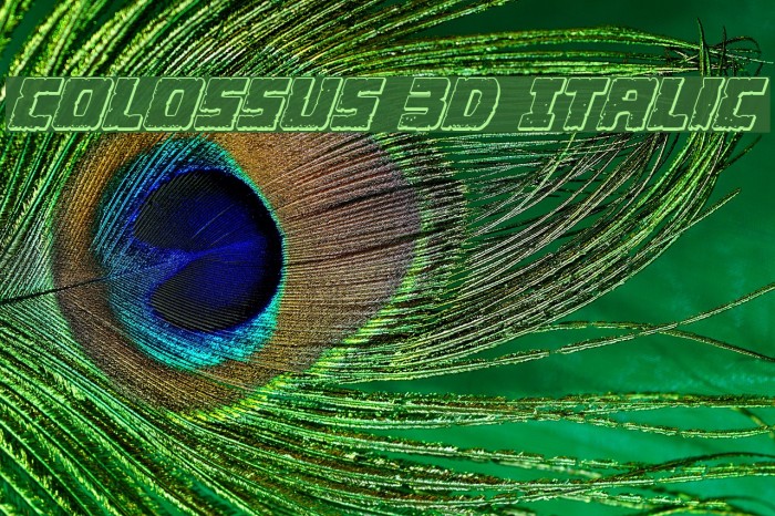 Colossus 3D Italic Example 2