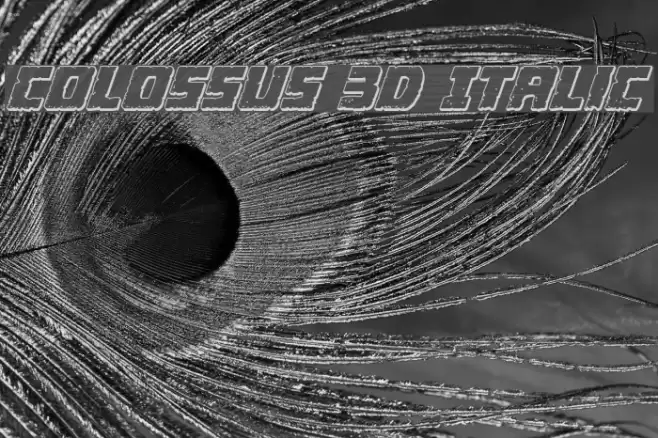 Colossus 3D Italic Font examples