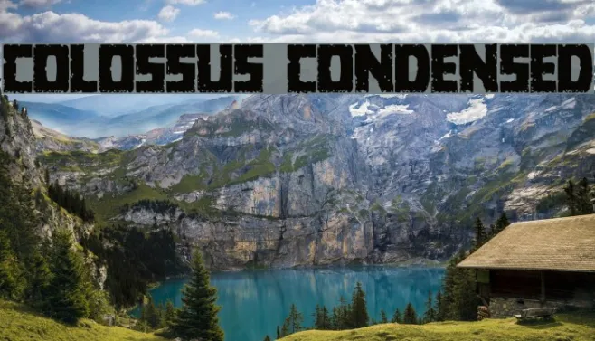 Colossus Condensed Example 2