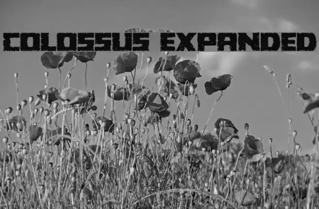 Colossus Expanded Font examples